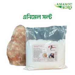 rock salt | রক সল্ট