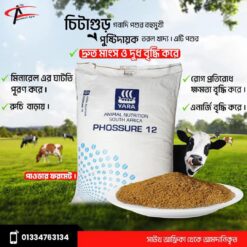 চিটাগুড় | Molasses Powder